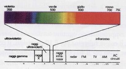 Colore