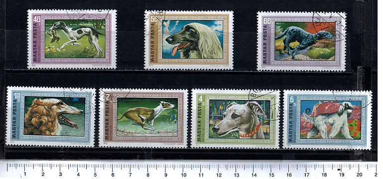 43308 - UNGHERIA	1972-2163 - Yvert n 2221/2227 *  Cani soggetti diversi  - 7 valori serie completa timbrata